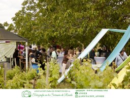 Festival Mar de Tethys 2026 - Bodega Vetas